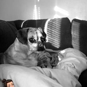 Meet your Posher, Sara